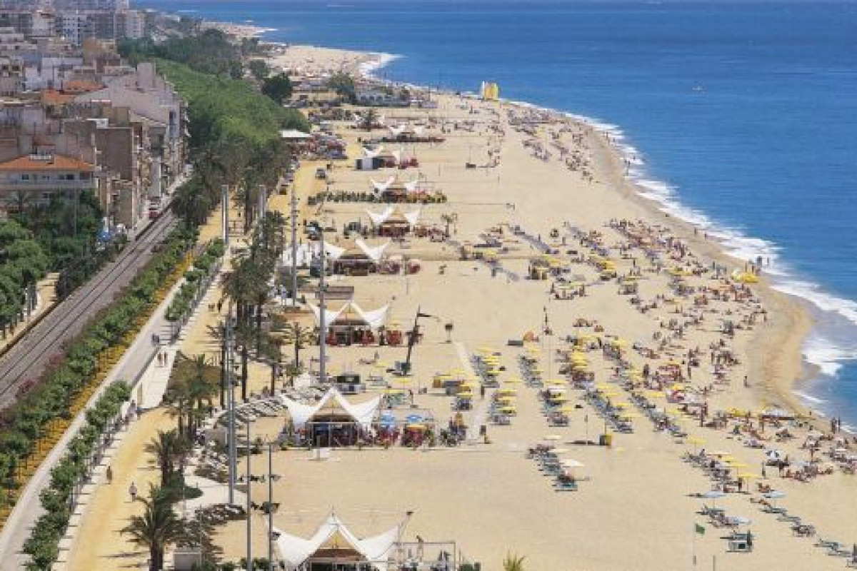 Kaktus Playa