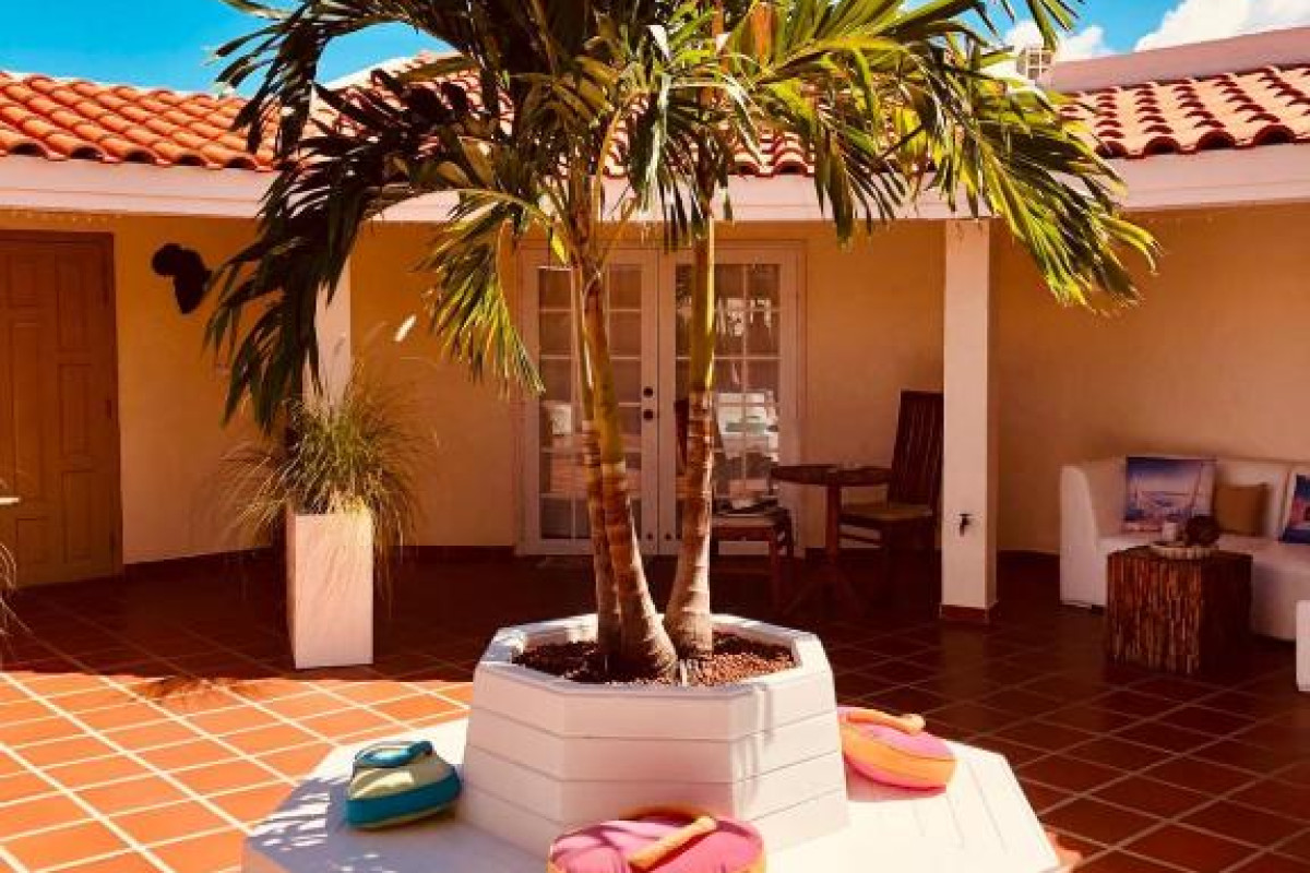 Karibu Aruba
