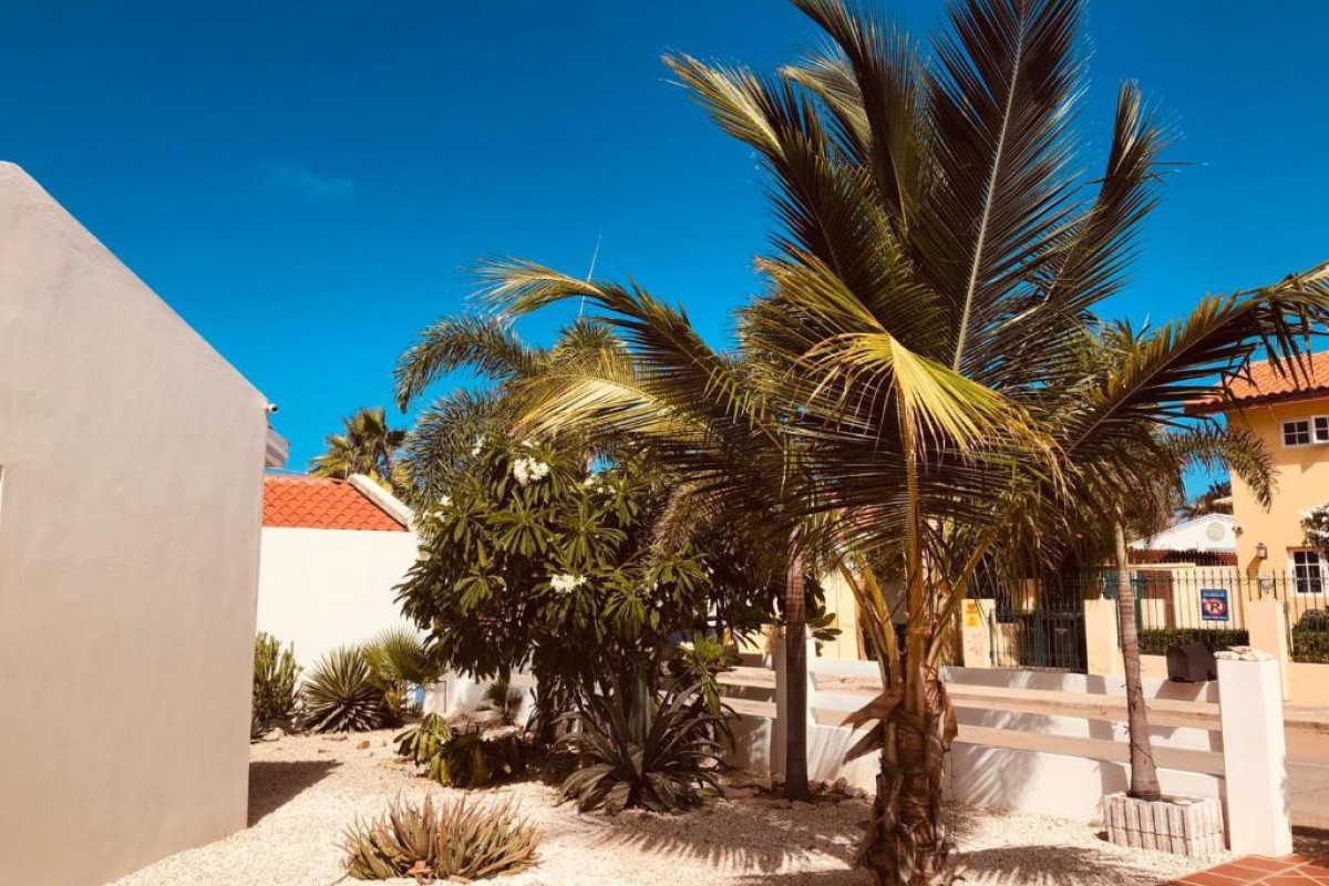 Karibu Aruba