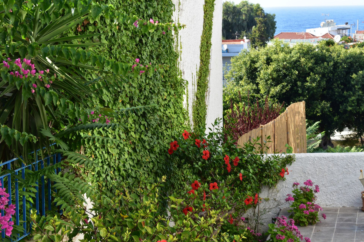 Kasteli Studios  Apartments