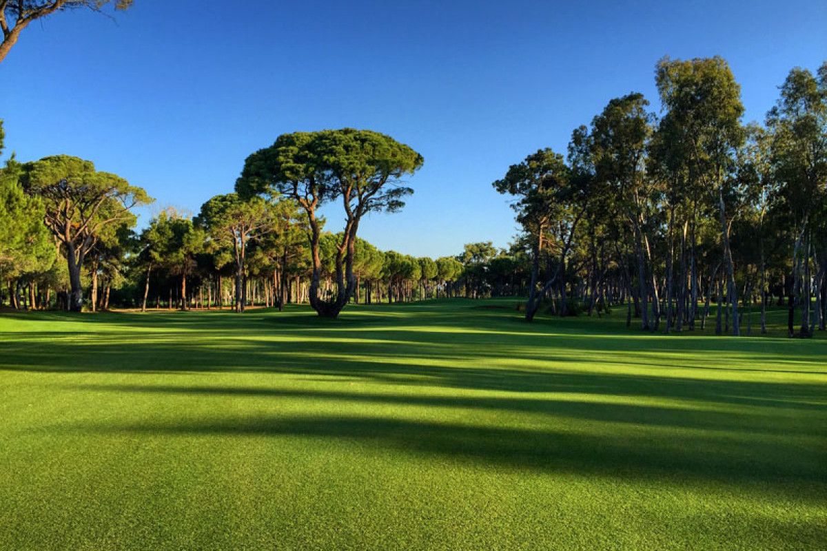 KAYA PALAZZO GOLF