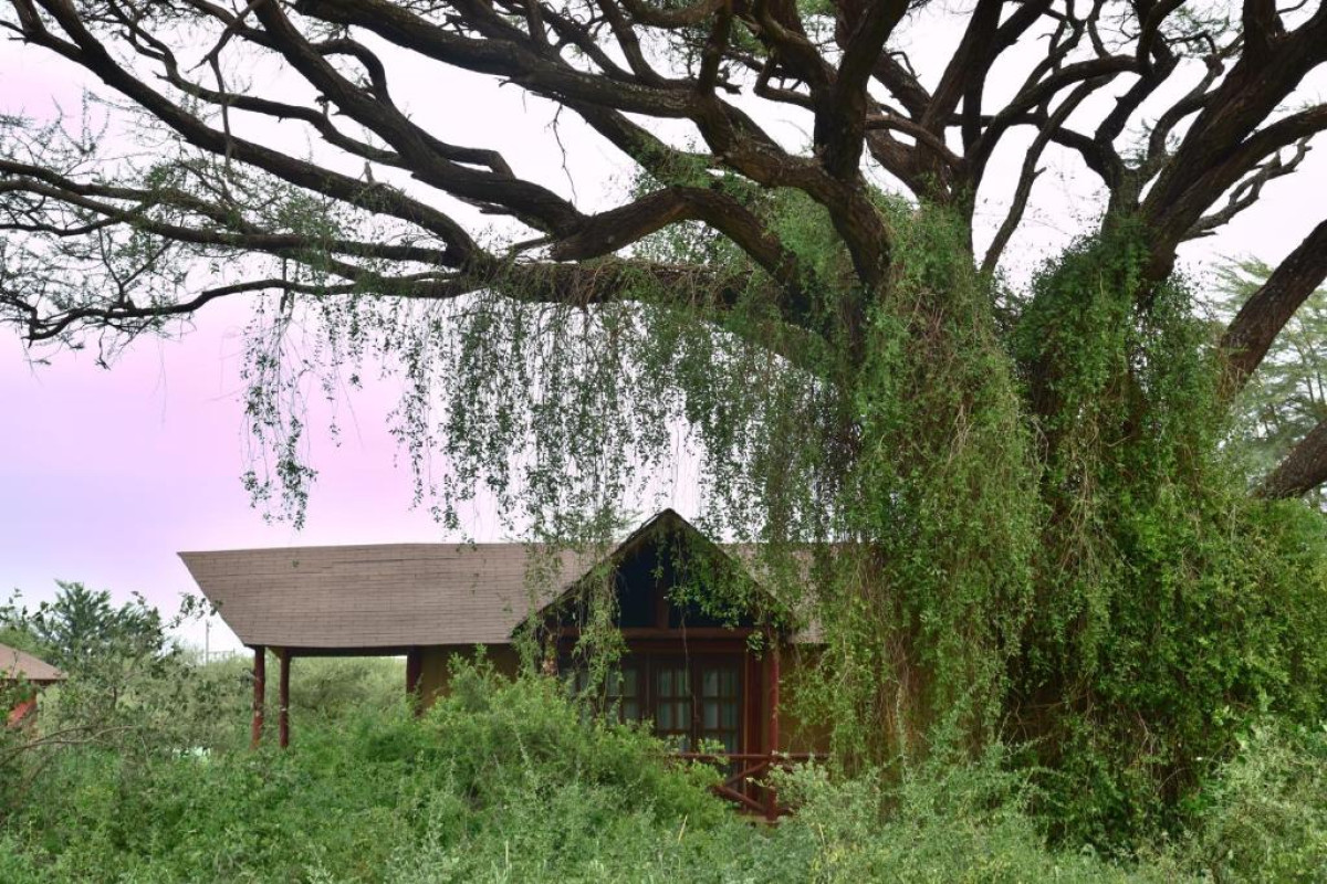 Kilima Safari Camp
