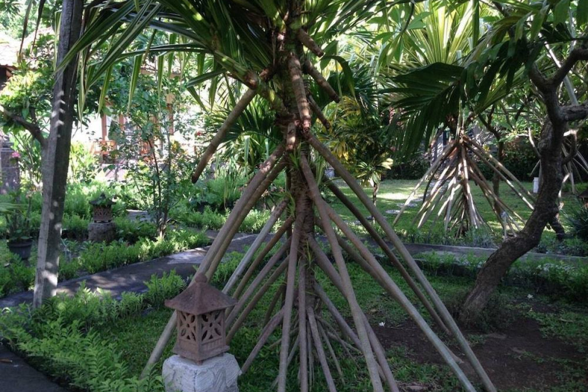 Kirana Homestay - Breeze Bungalow