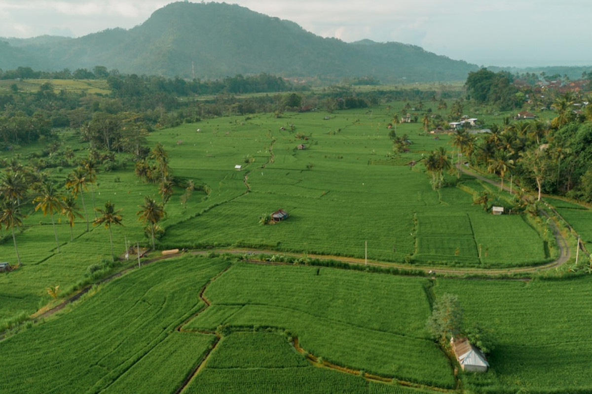Kubu Sakian