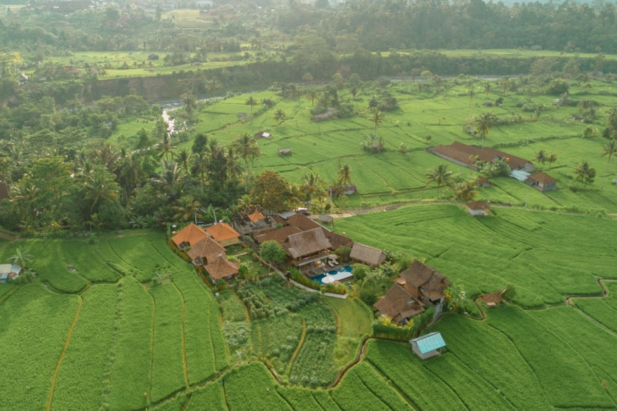 Kubu Sakian