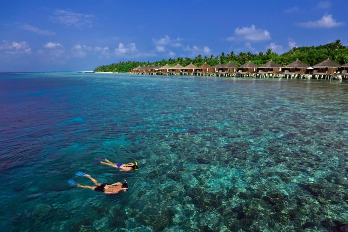 Niva Kuramathi Maldives Resort
