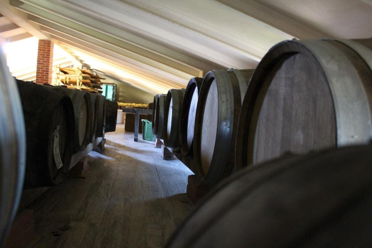 La Cantina Relais - Fattoria Il Cipresso