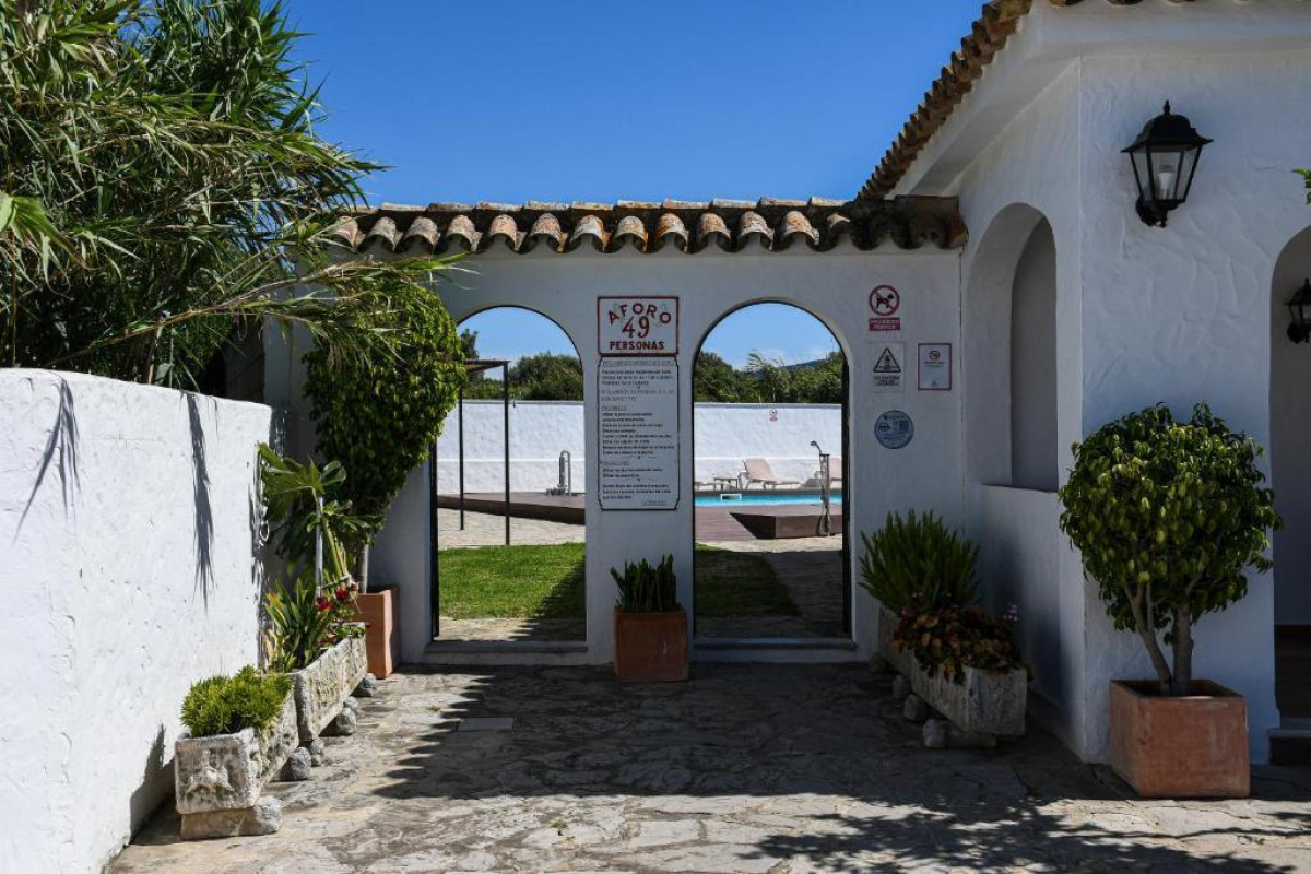La Codorniz