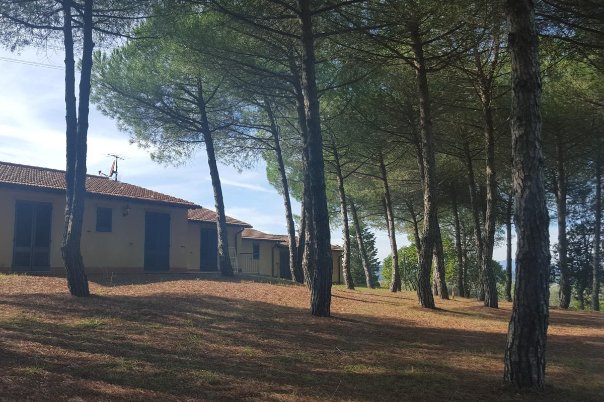 La Collinella