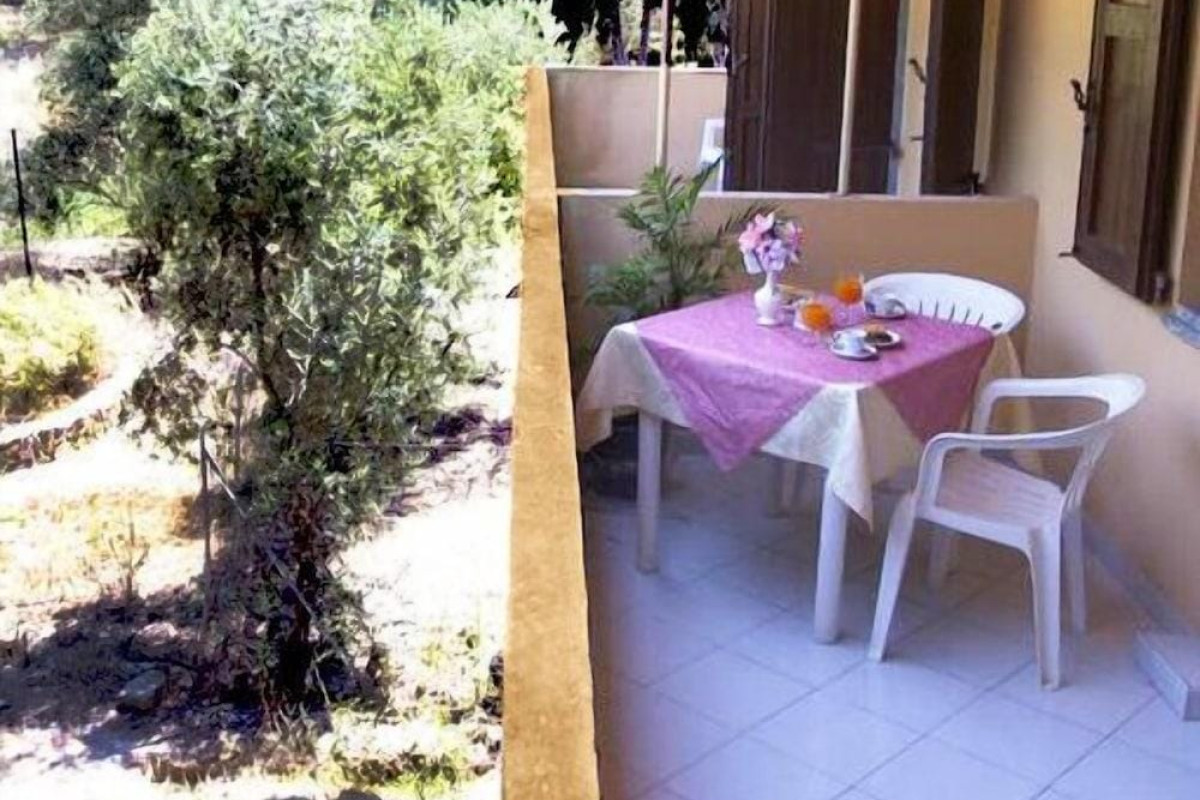 La Pineta