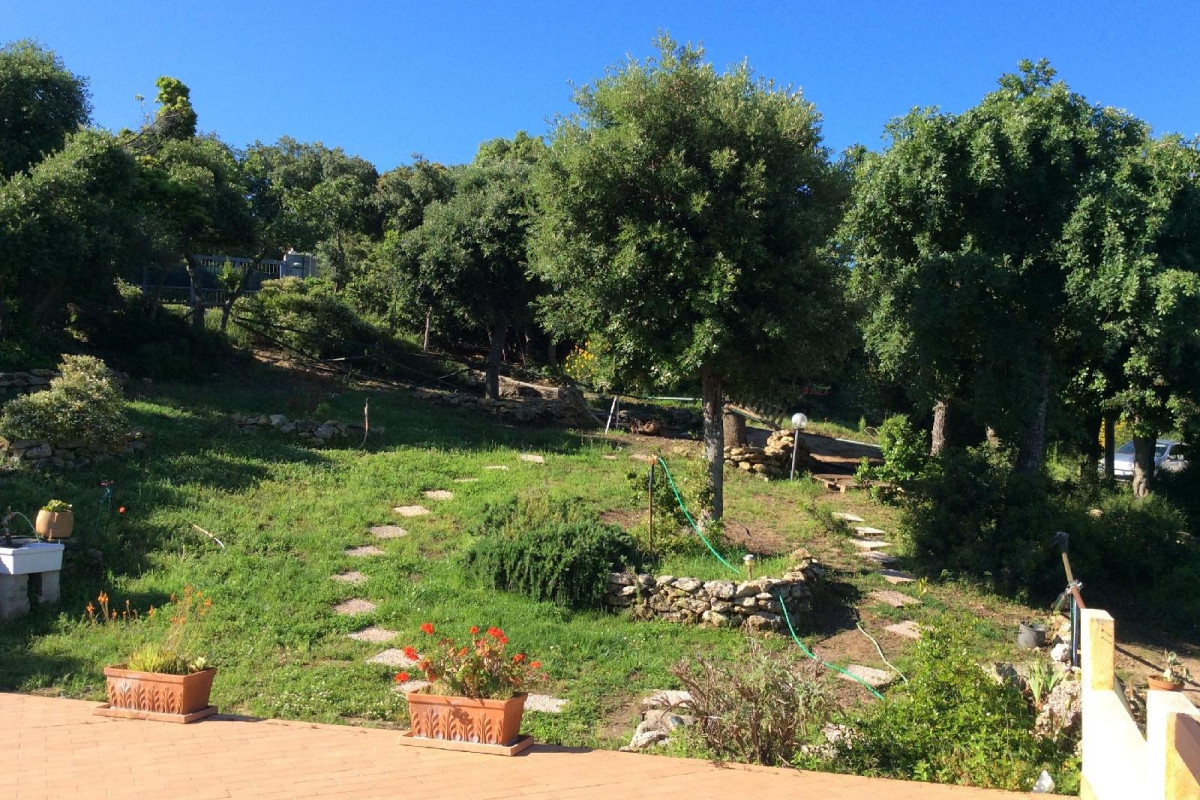 LA VALLE DEI CORBEZZOLI