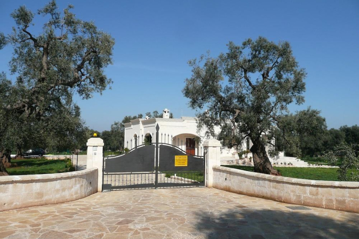La Vigna Vecchia