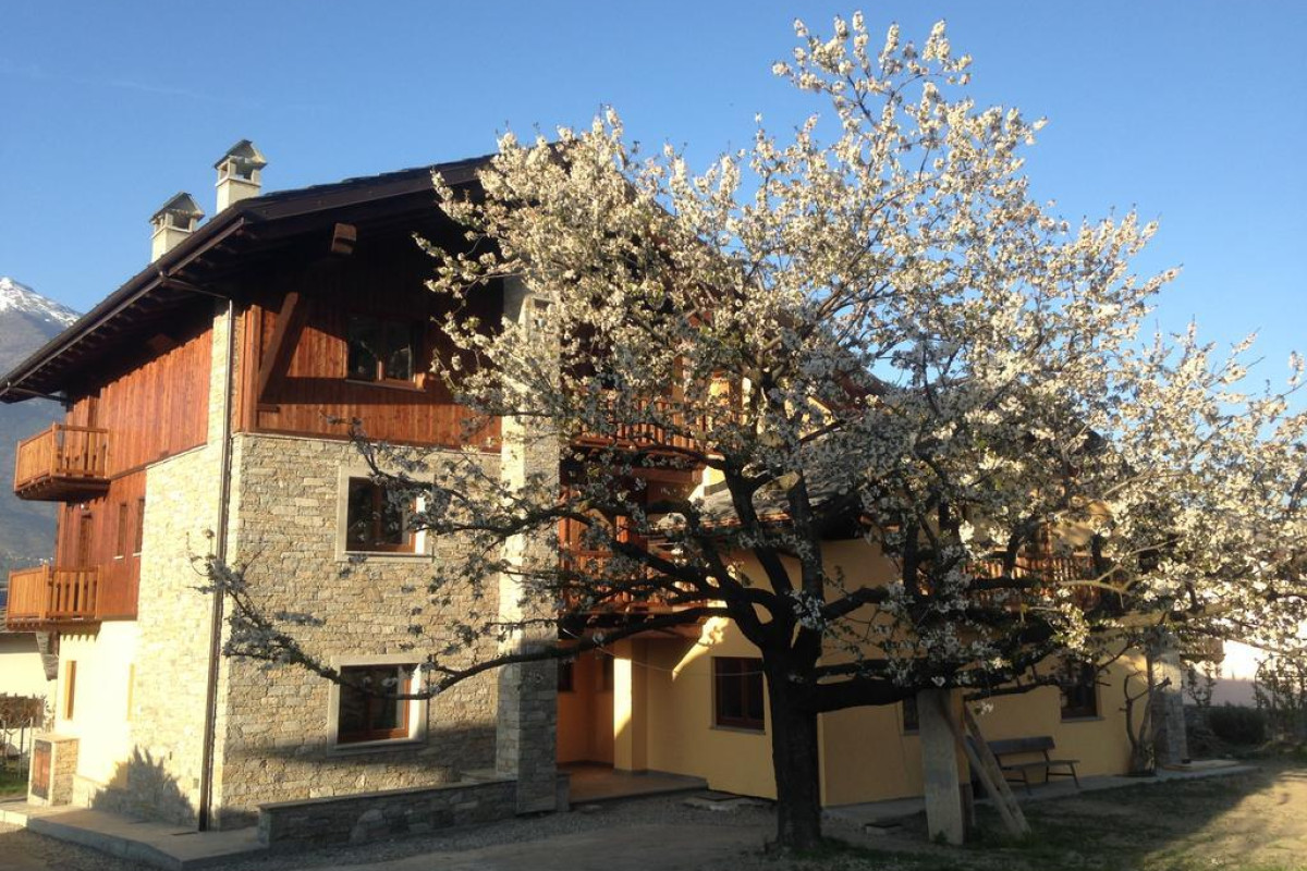 La Vigne De Papagran
