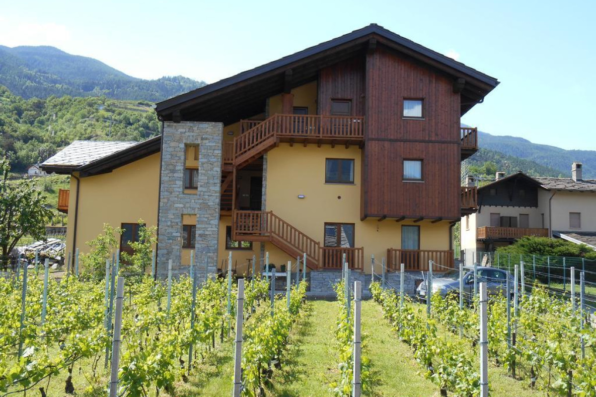 La Vigne De Papagran