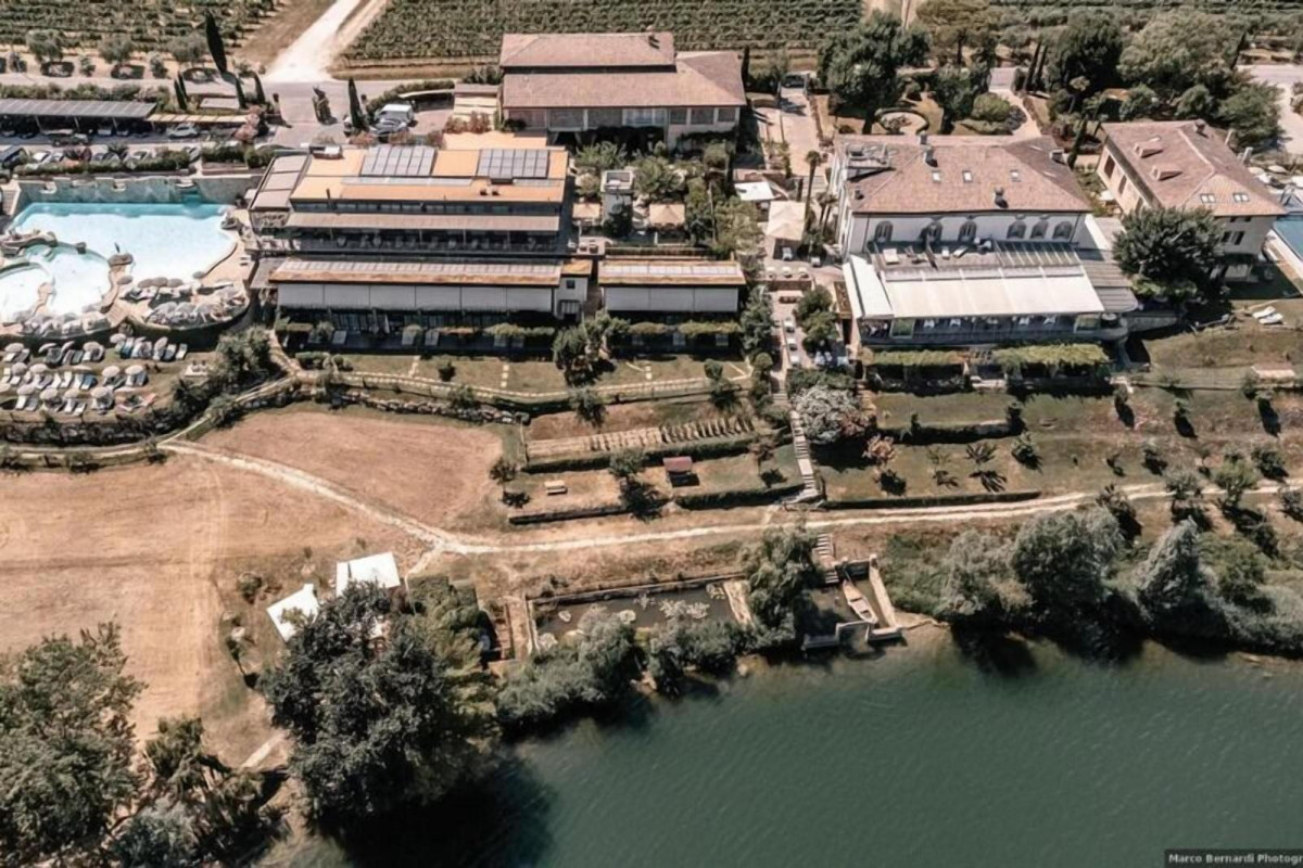 Le Ali Del Frassino