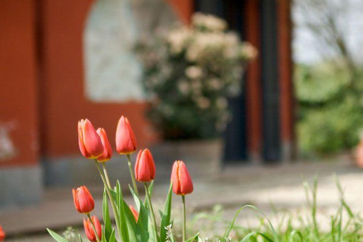 Le Serre Suites & Apartments