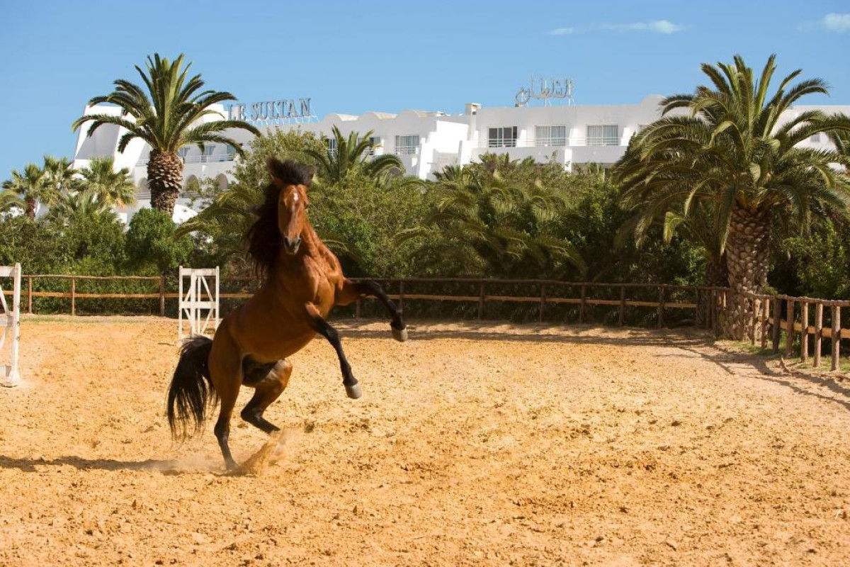 Le Sultan
