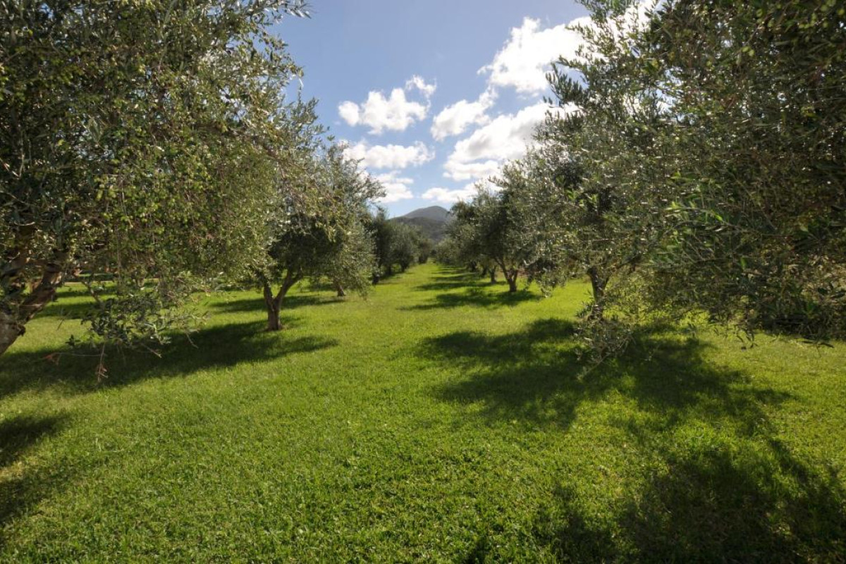 LIBERTY'S STUDIOS - ALMYROS, ACHARAVI