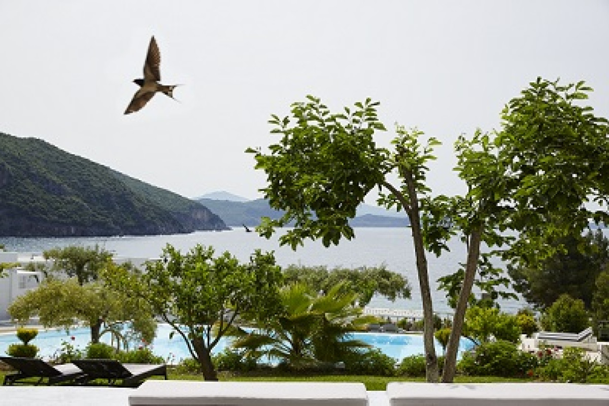 LICHNOS BEACH HOTEL  SUITES