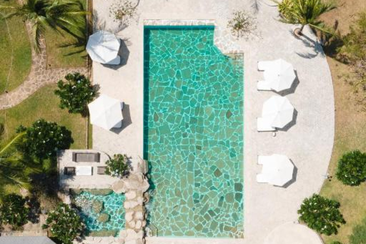 Lion in the Sun - a Billionaire Retreat