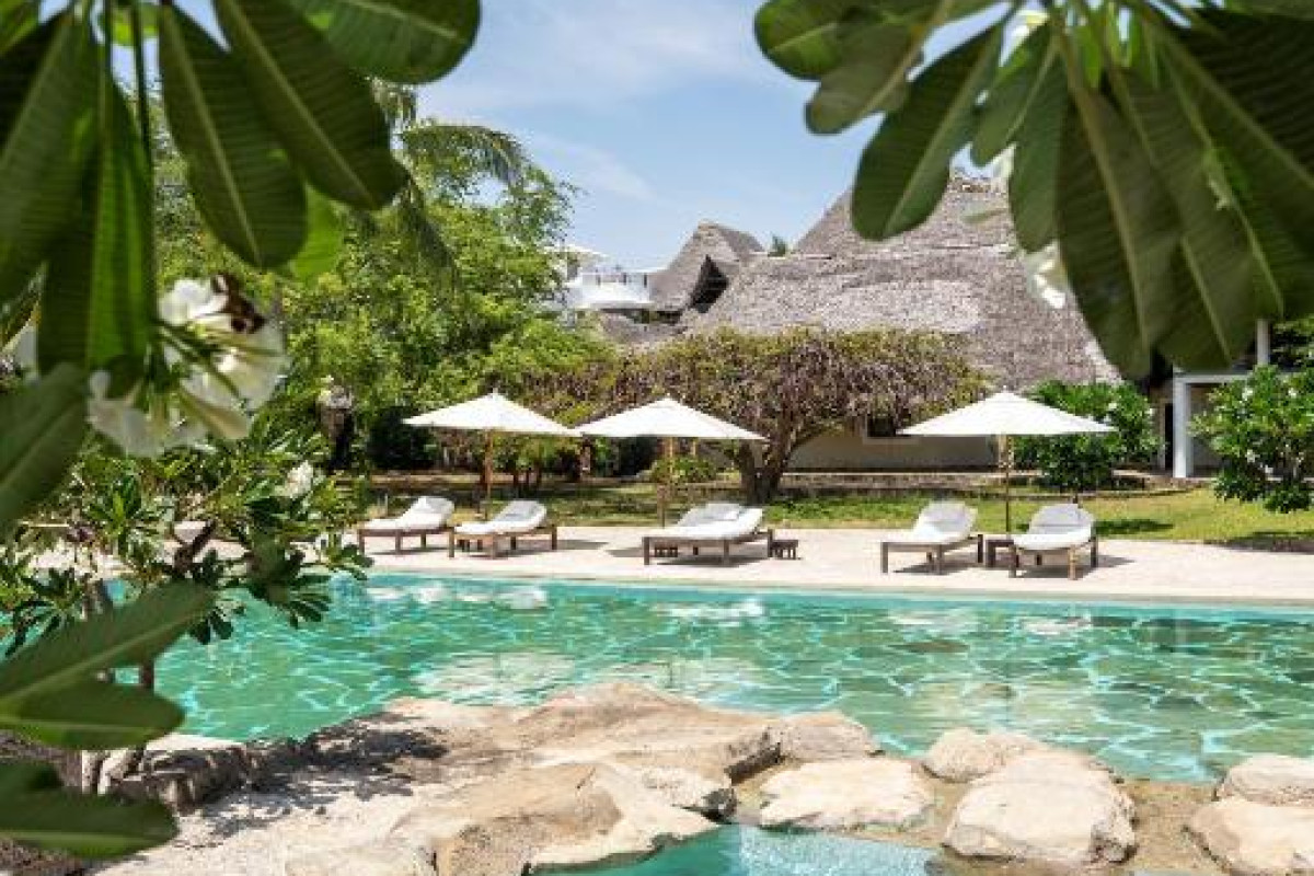 Lion in the Sun - a Billionaire Retreat