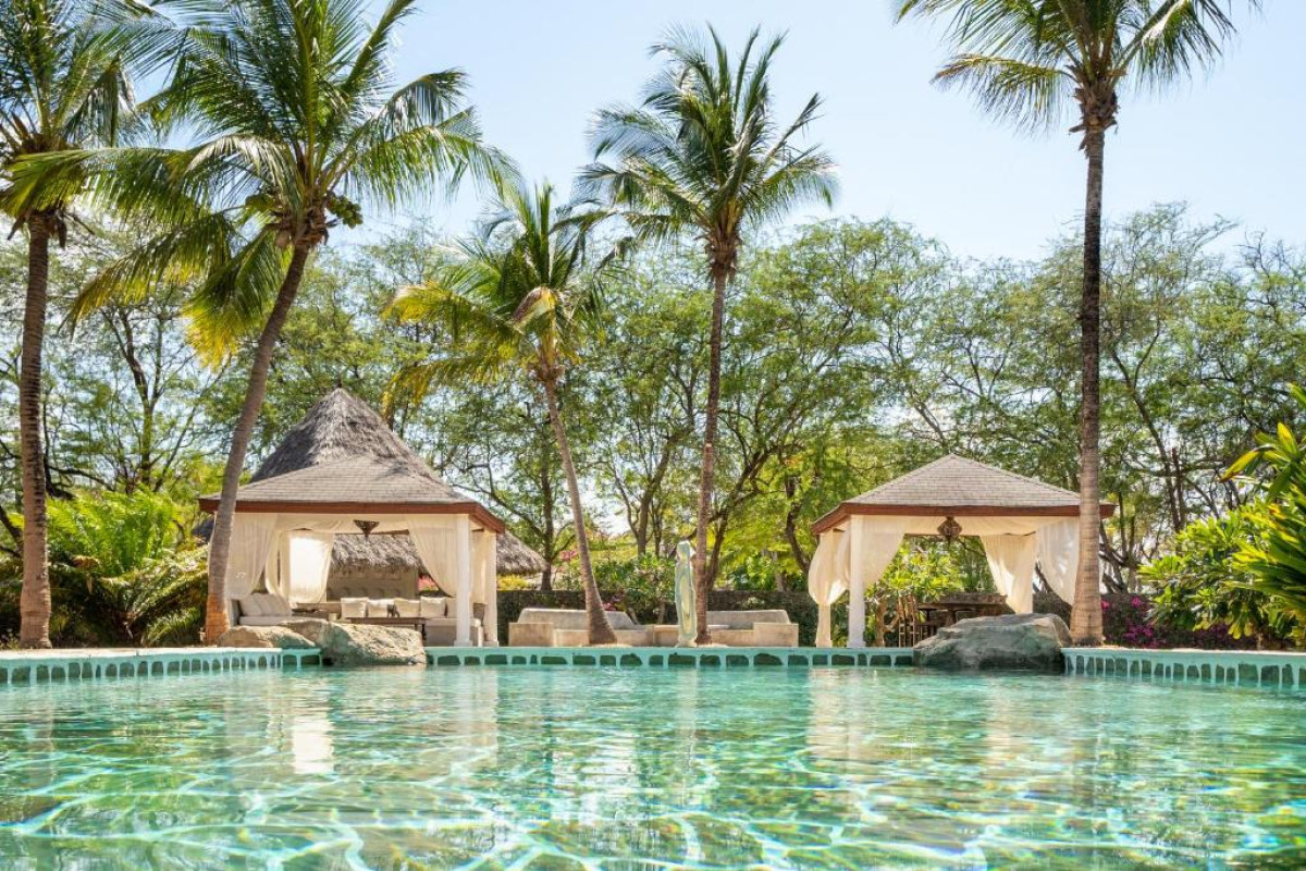 Lion in the Sun - a Billionaire Retreat