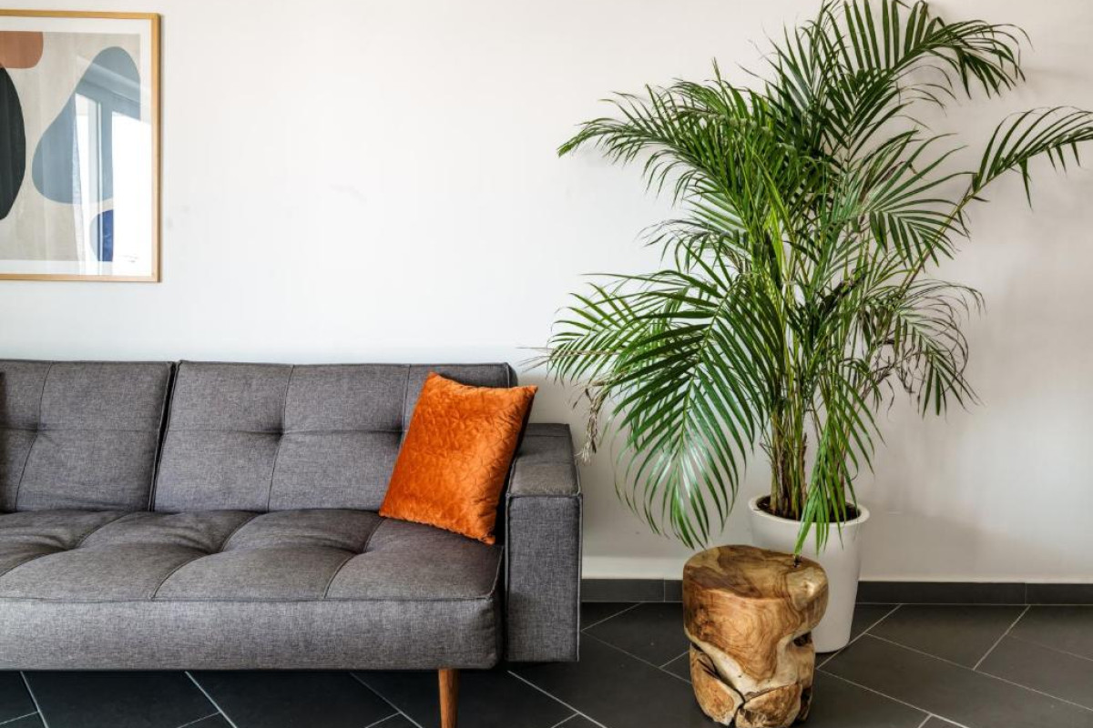 LIV URBAN LARNACA