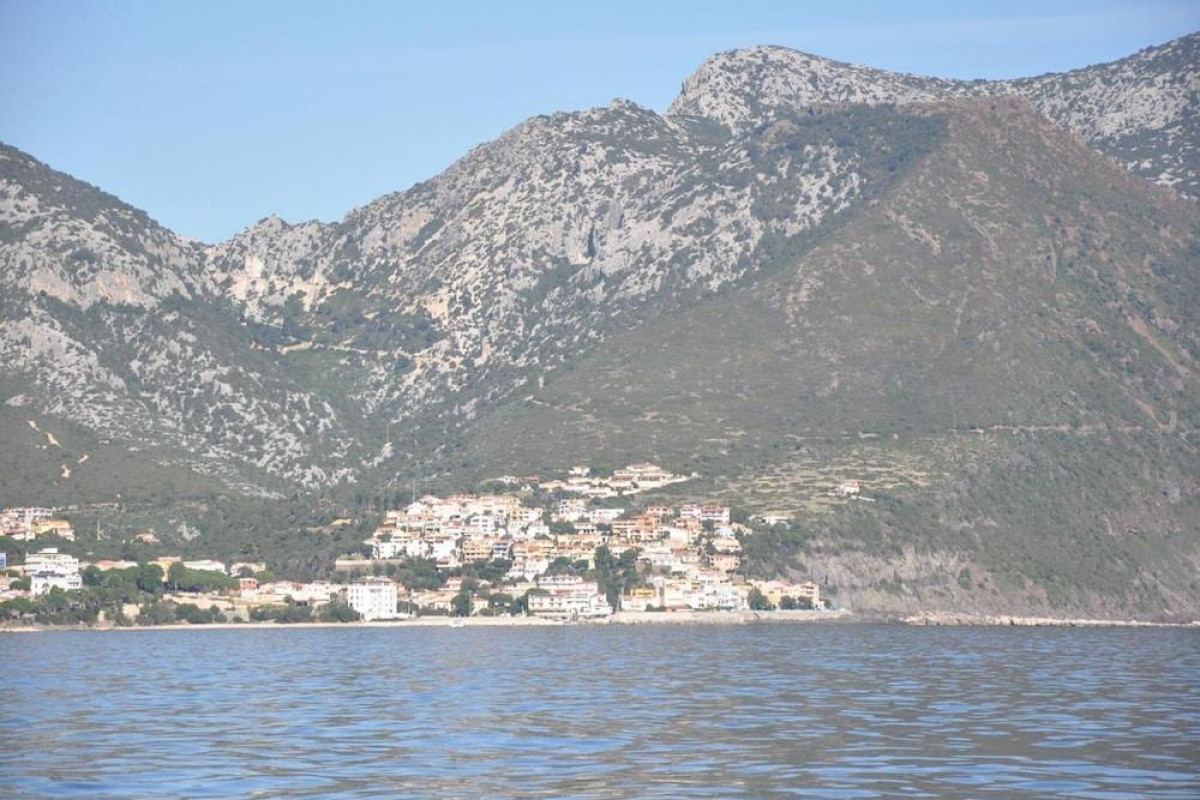 L'oasi
