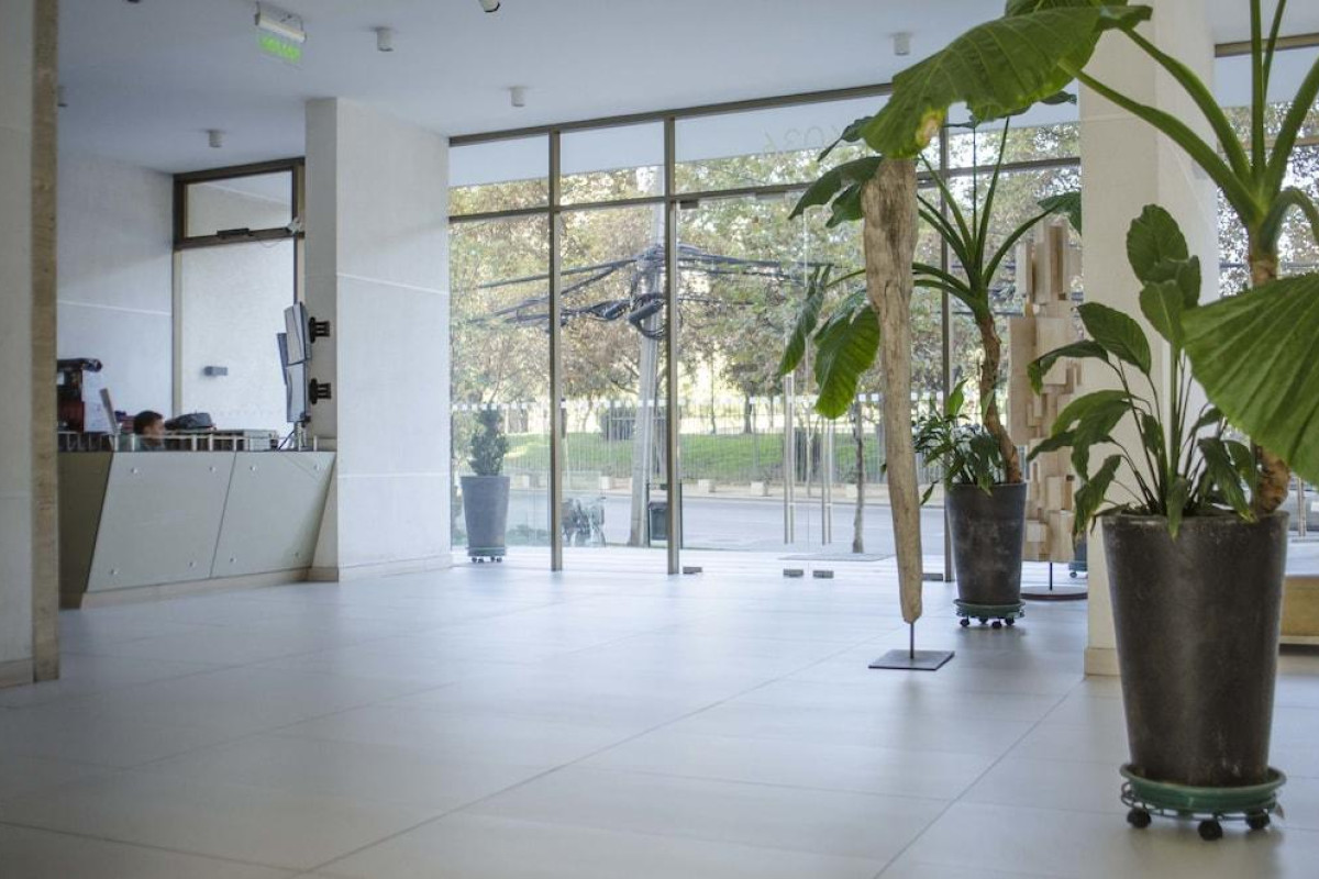 Loica Suites