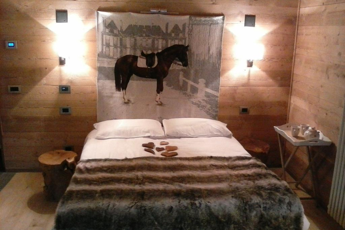 Lthorses & Dreams