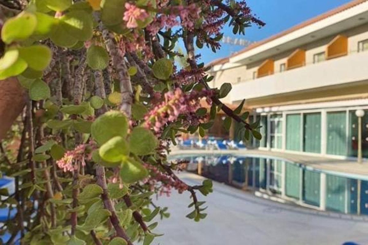 M. Moniatis Hotel