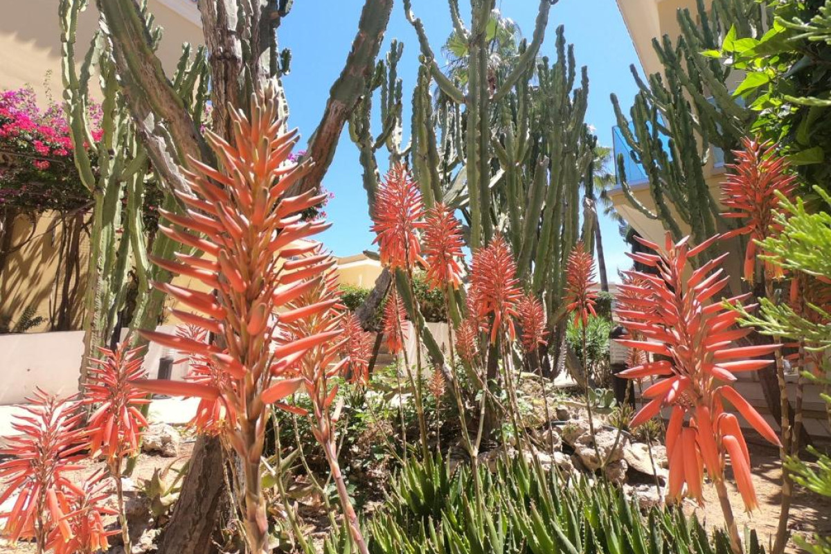 Malama Beach Holiday Village