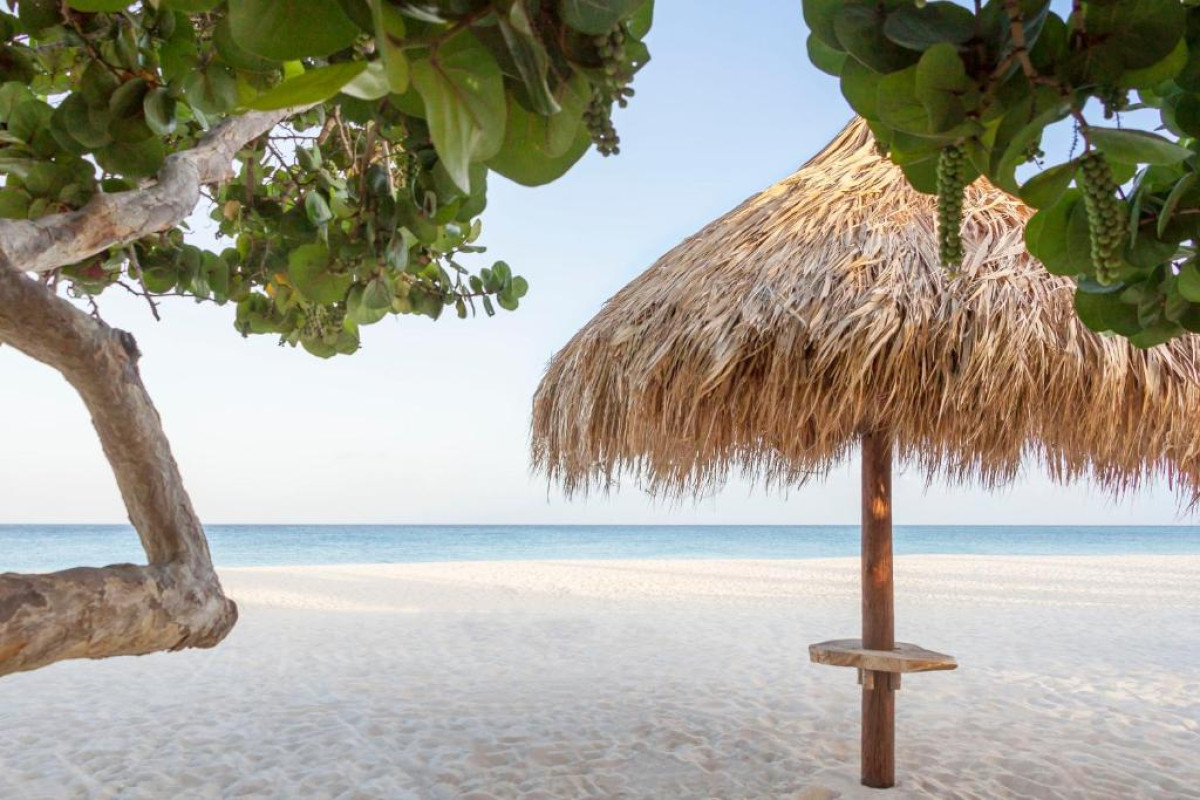 Manchebo Beach Resort and Spa
