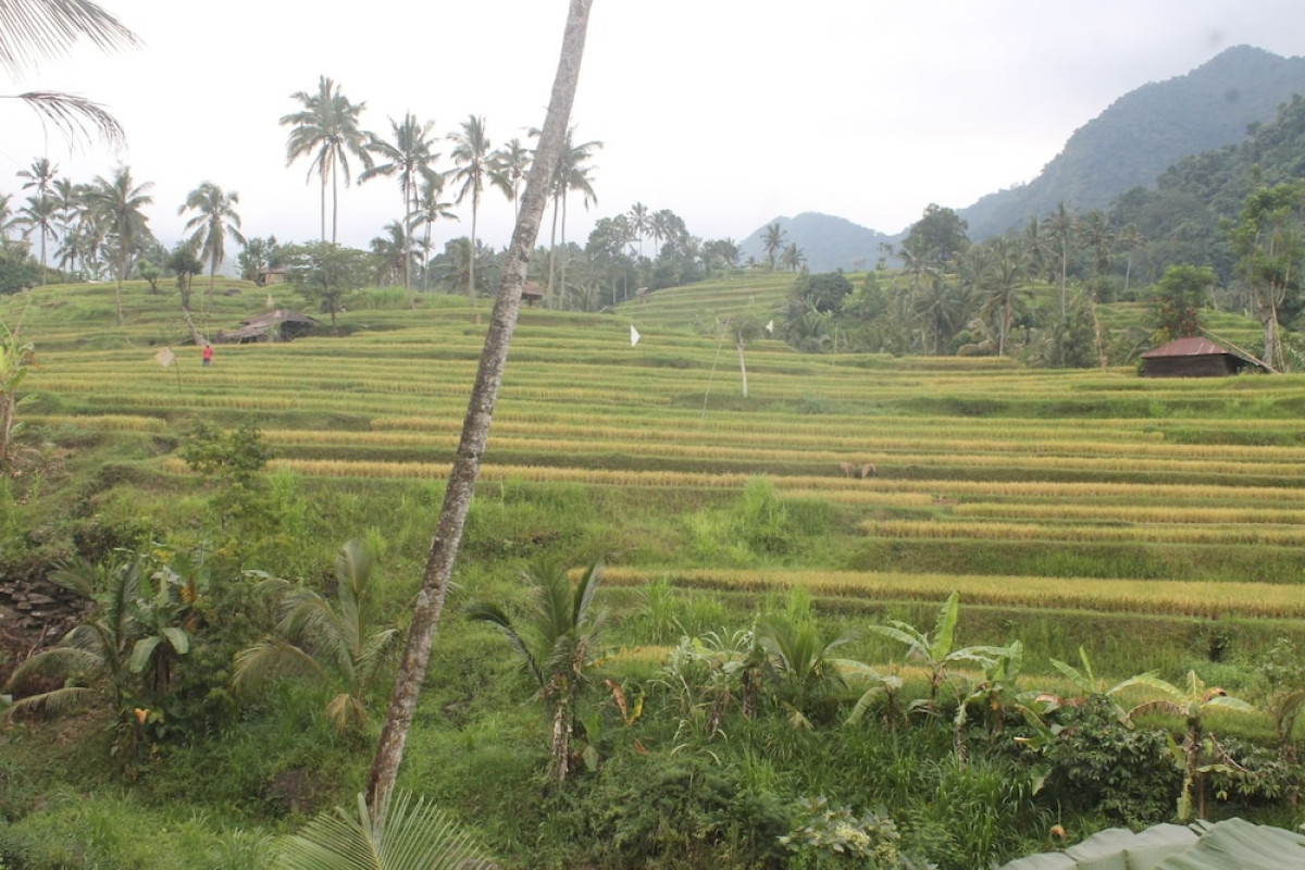 Mandhasativa Homestay