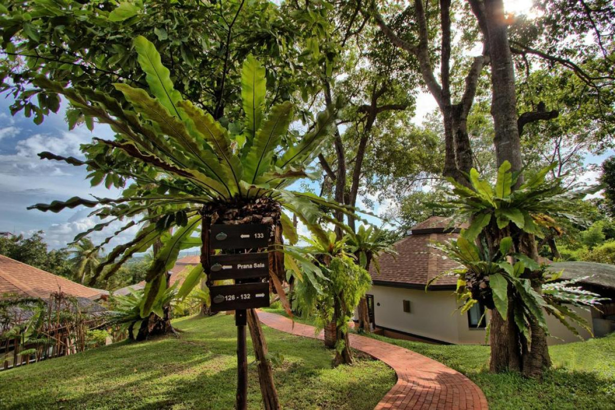 Mangosteen Ayurveda & Wellness Resort