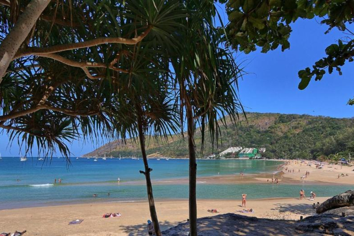 Mangosteen Ayurveda & Wellness Resort