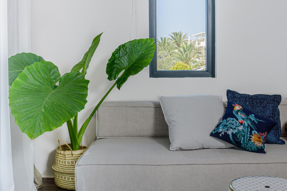 Maregold Mykonos Micro-Suites, Adults Only