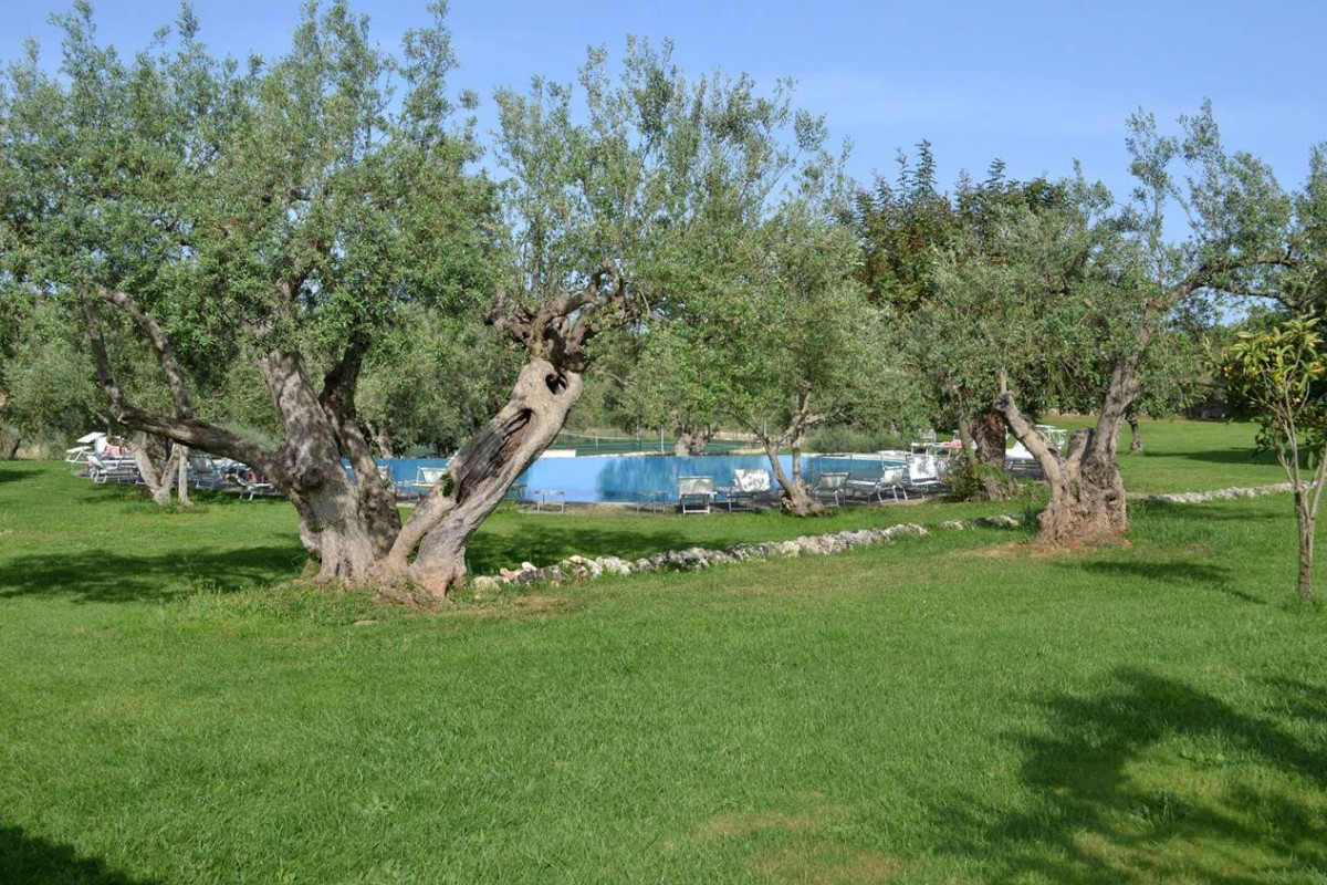 MASSERIA DEGLI ULIVI