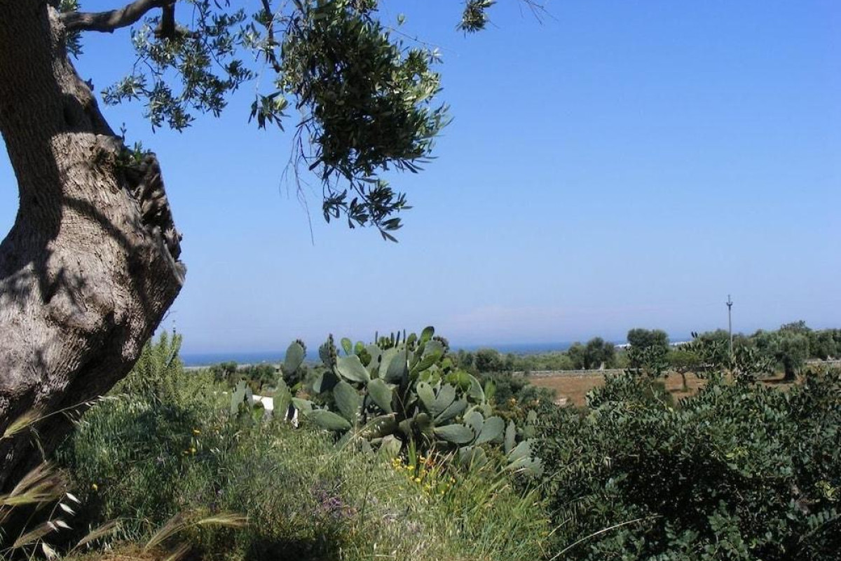 Masseria Pelosella B&B