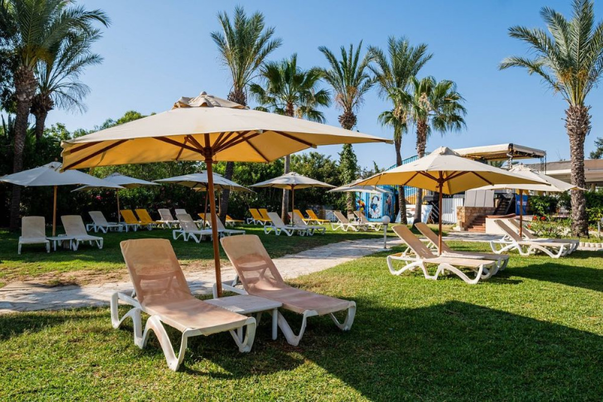 MEDINA BELISAIRE & THALASSO