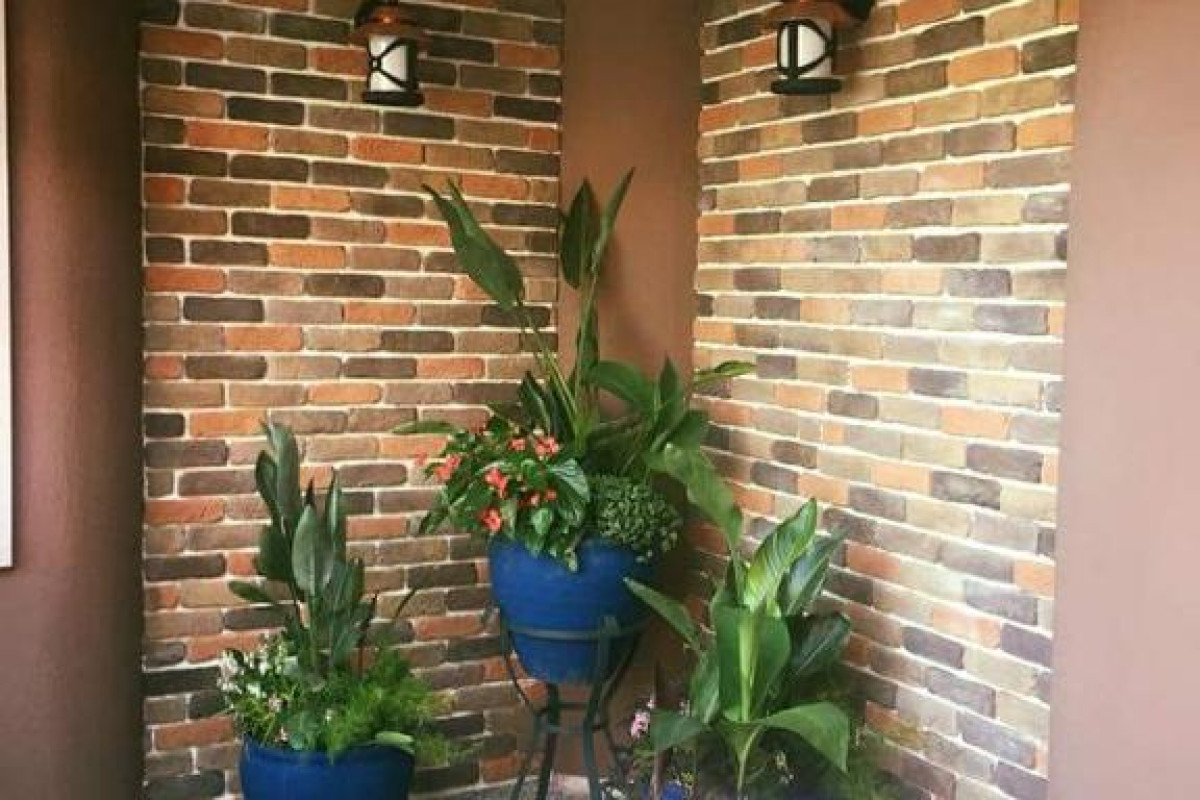 Mendos Garden Exclusive