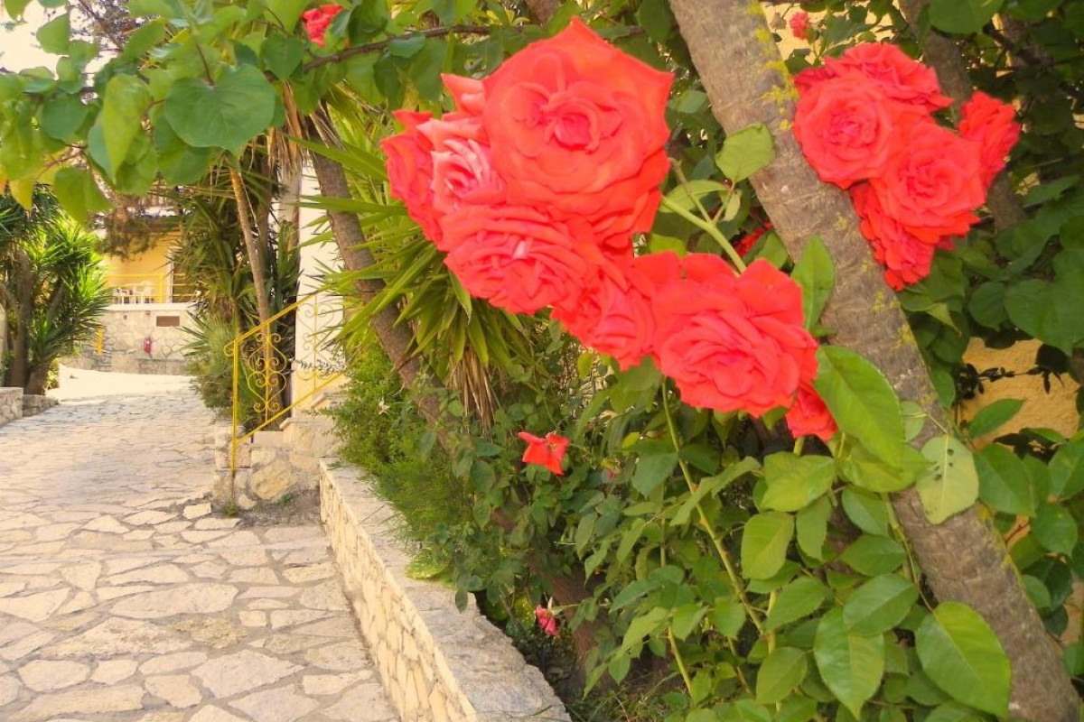 Mirabelle Hotel