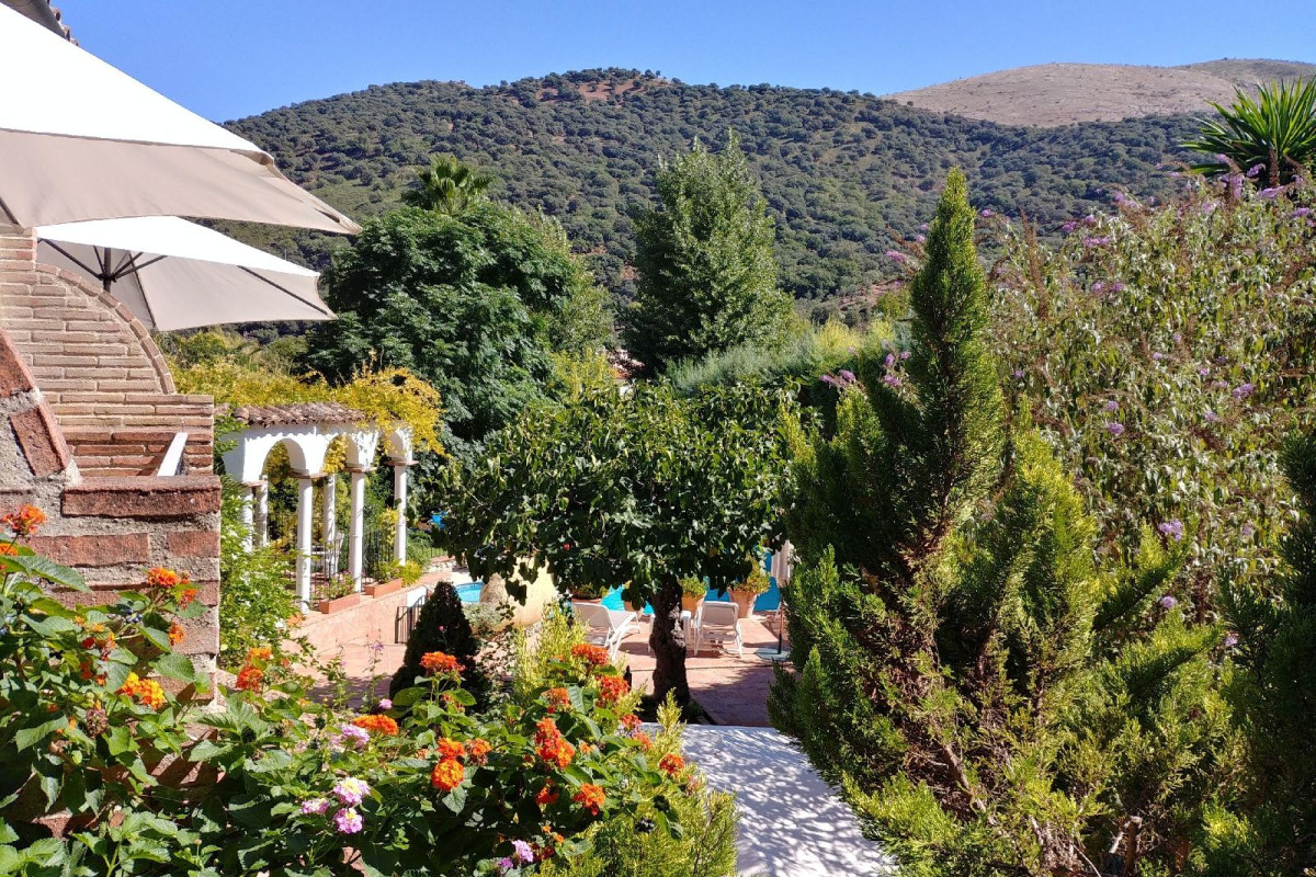 Molino Del Santo
