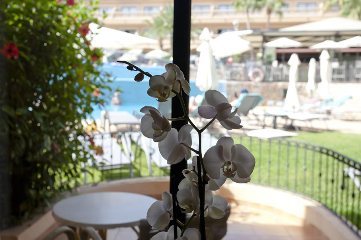 Mon Port Hotel & Spa