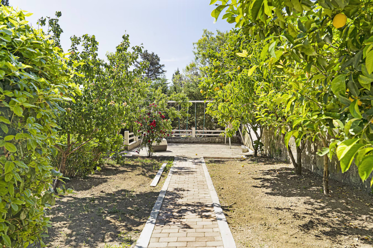 Monte Verde