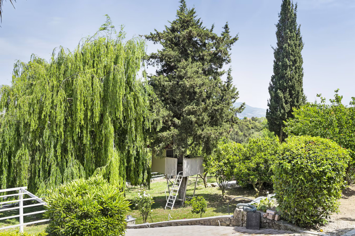 Monte Verde