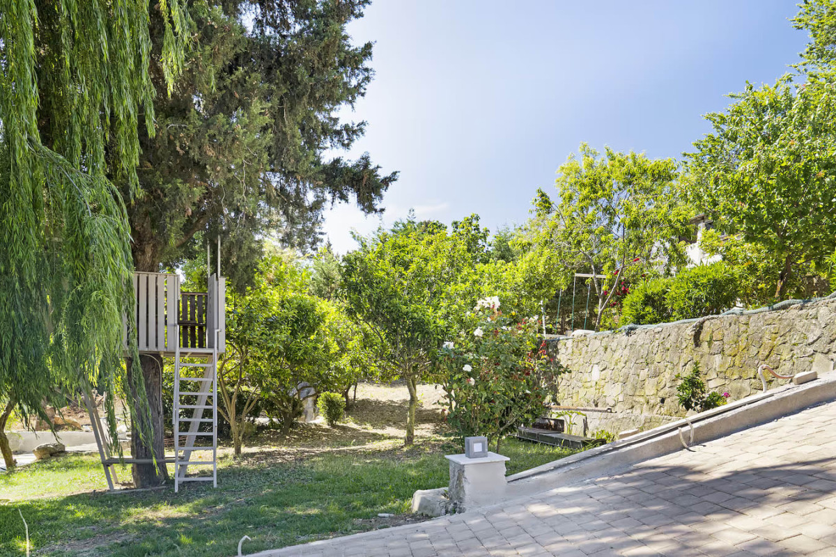 Monte Verde