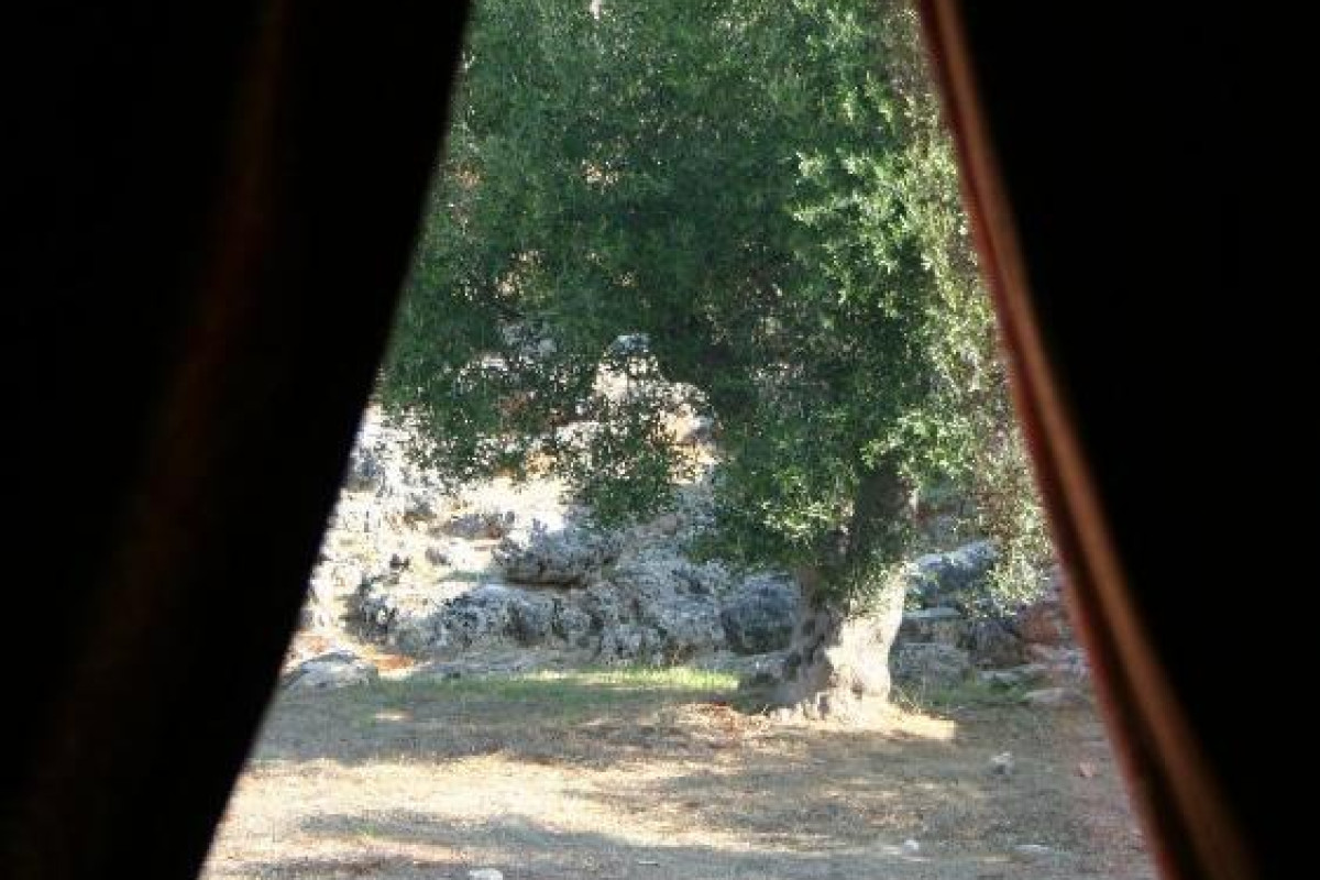 Montecallini