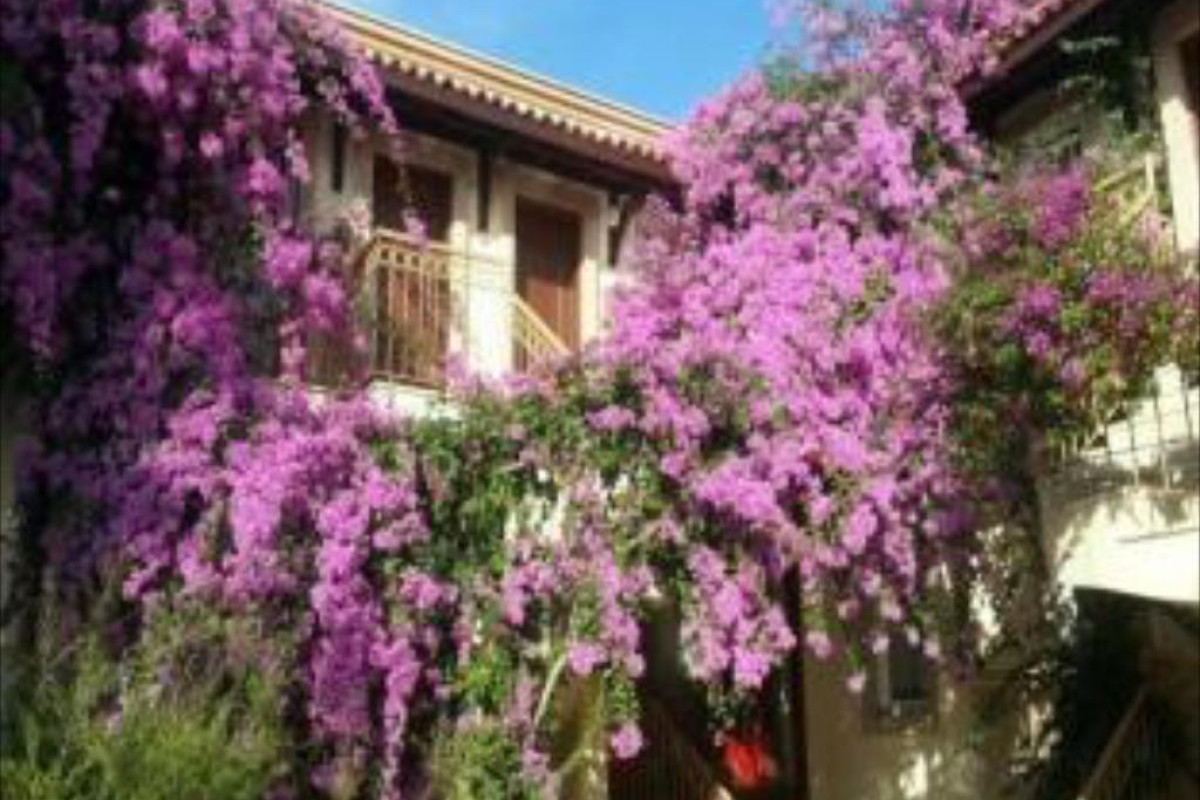 MOONSHINE HOTEL BODRUM