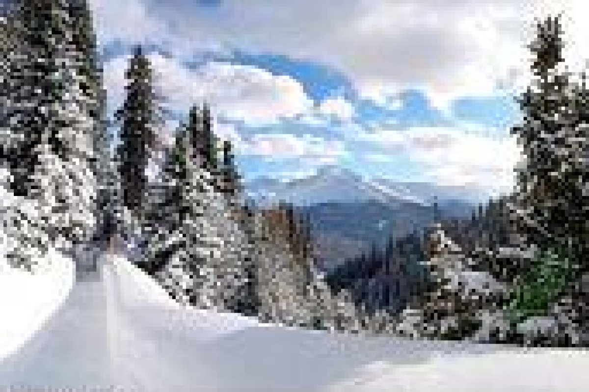 Mountain Resort